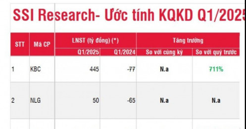 SSI ước tính lợi nhuận của 39 DN 'hot' quý 1/2025