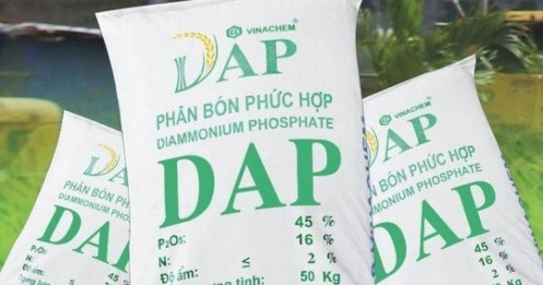 DDV - Hồi sinh trở lại hay sớm nở lại tàn?