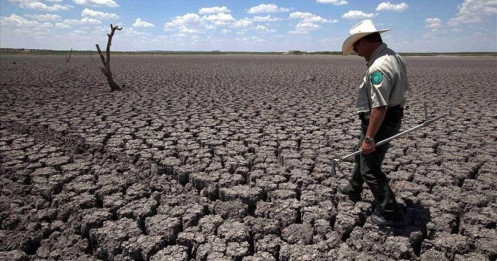 Thiếu tuyết khiến một số khu vực ở Trung Bắc Mỹ rơi vào tình trạng hạn hán