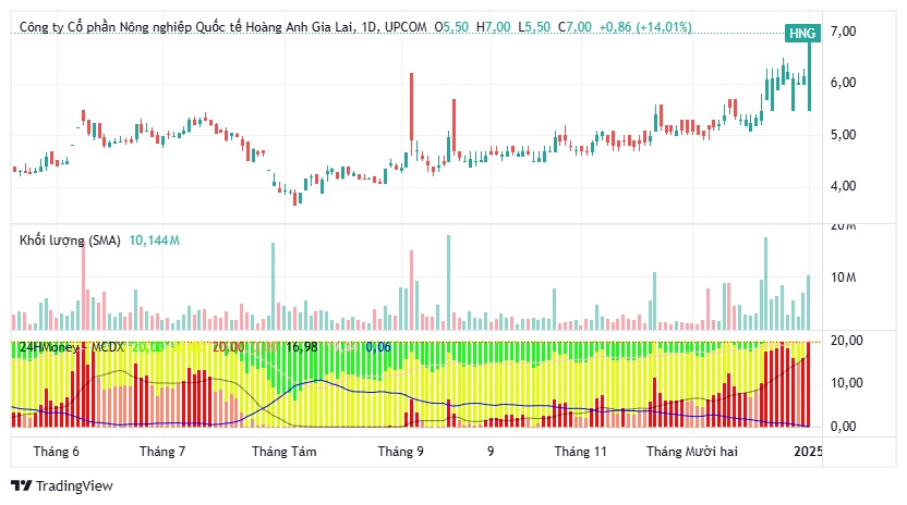 Cổ phiếu HNG bất ngờ tăng kịch trần