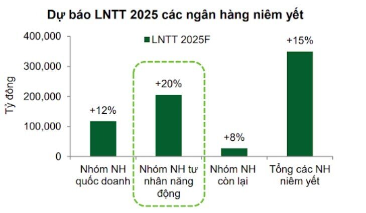 Lợi nhuận nhóm ngân hàng tư nhân sẽ tăng 20% trong năm 2025