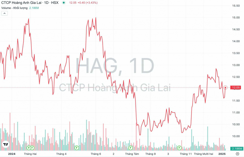 Hoàng Anh Gia Lai (HAG): Tự tin lãi ít nhất 2.000 tỷ đồng/năm, người nhà lãnh đạo gom mua cổ phiếu