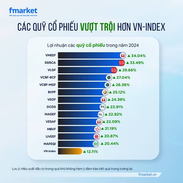 Quỹ mở chiến thắng thị trường năm 2024