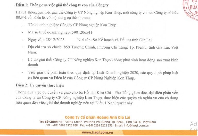 HAGL giải thể công ty con ngay đầu năm 2025