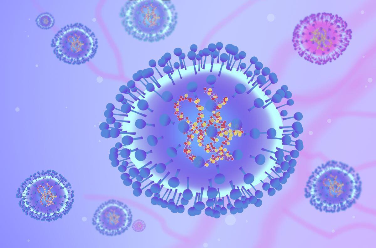 WHO xác nhận HMPV không phải là loại virus mới