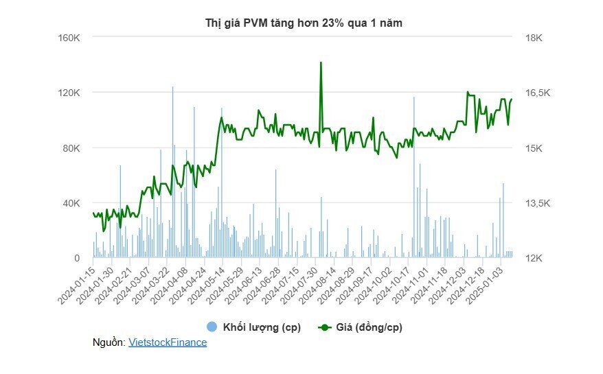 PVMachino phải khắc phục hơn 13 tỷ do kê khai thuế sai quy định