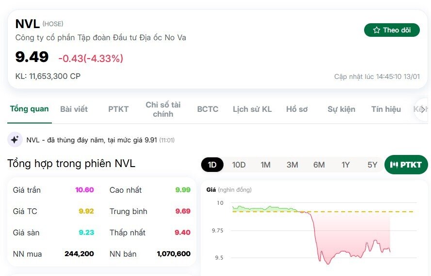 Nhóm cổ đông liên quan ông Bùi Thành Nhơn đứng trước nguy cơ mất quyền phủ quyết tại Novaland