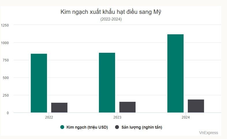 Mỹ chi gần 1,2 tỷ USD mua hạt điều Việt Nam
