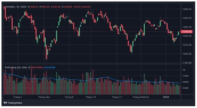 NĐT nên kiên nhẫn chờ "hái lộc đầu năm"﻿