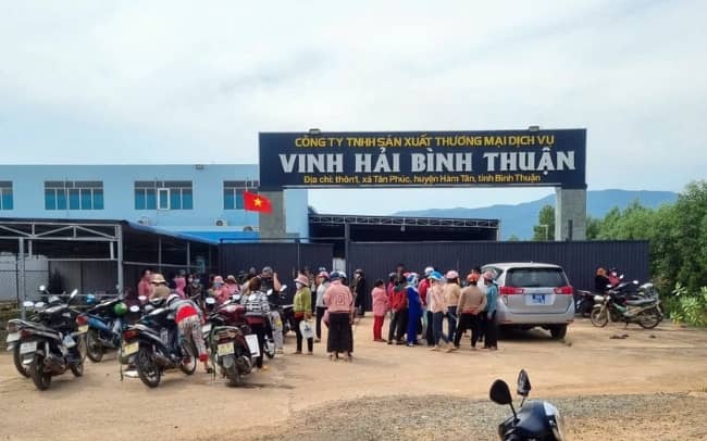Nợ bảo hiểm xã hội hơn 7 tỉ đồng, Giám đốc người Philippines bỏ trốn