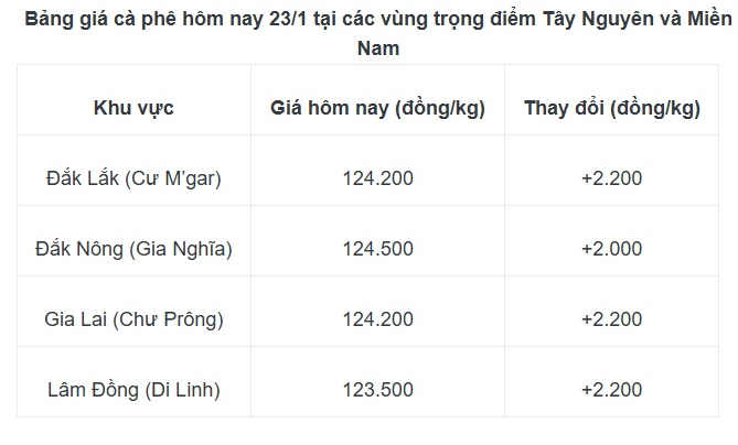 Giá cà phê tăng mạnh trước kỳ nghỉ Tết