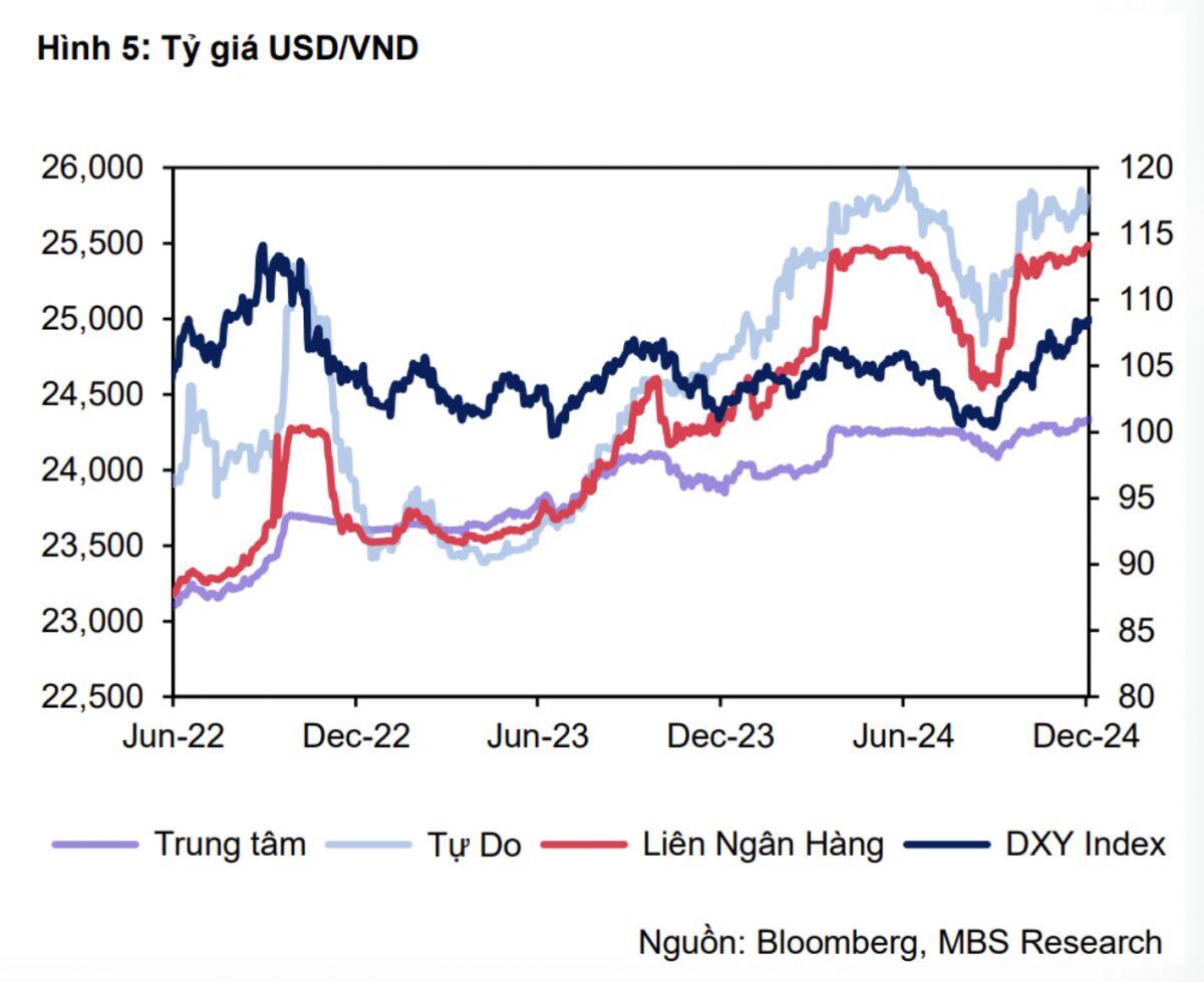 Nhìn lại năm 2024: Những bài học từ sự biến động tỷ giá và lãi suất