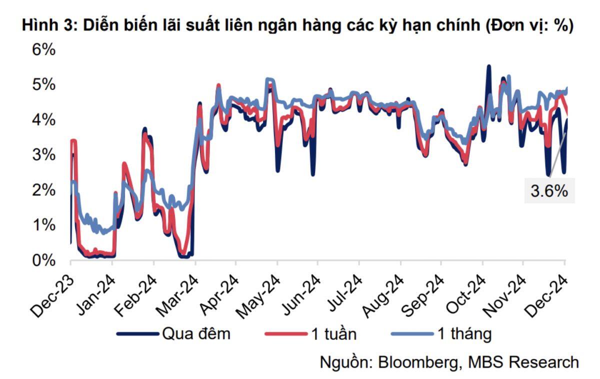 Nhìn lại năm 2024: Những bài học từ sự biến động tỷ giá và lãi suất