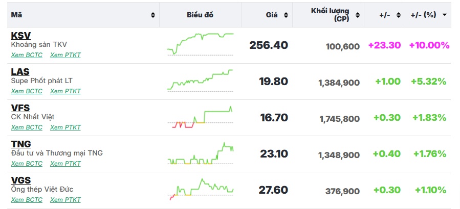 Loạt cổ phiếu điện, phân bón, cao su tăng rực rỡ, tiền “nóng” vẫn hoạt động mạnh