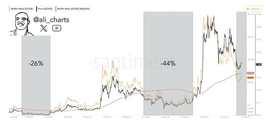 Nhà phân tích Ali Martinez cảnh báo nguy cơ DOGE giảm 40%