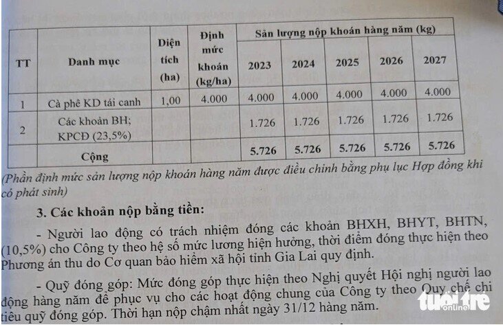 Vụ đóng bảo hiểm xã hội bằng cà phê: Giám đốc hai công ty giải thích thế nào?