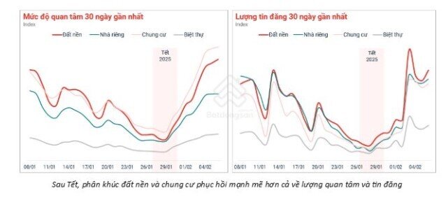 Nguồn cung nhà ở xã hội tăng, giá chung cư sẽ giảm' chưa hẳn đúng