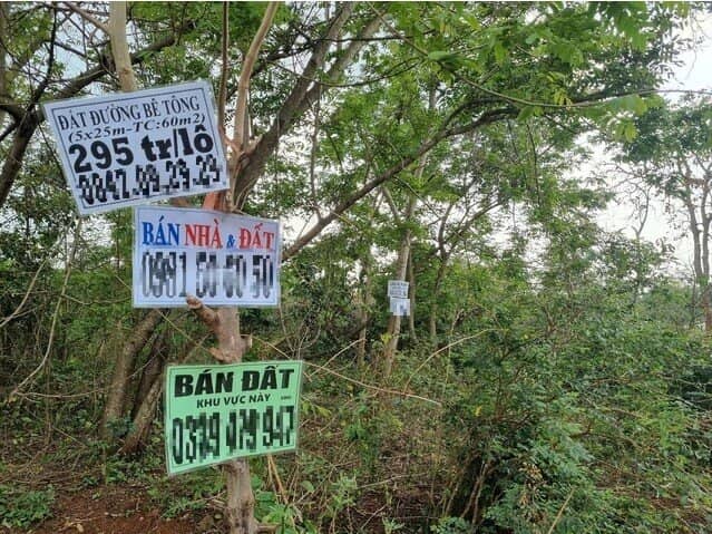 Vì sao "cò đất" nườm nượp đổ về 1 xã ở Đắk Lắk?