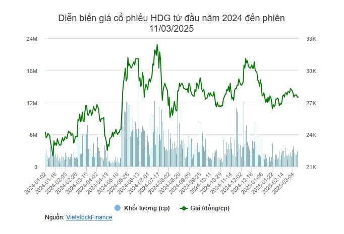 PYN Elite “lướt sóng” cổ phiếu HDG?