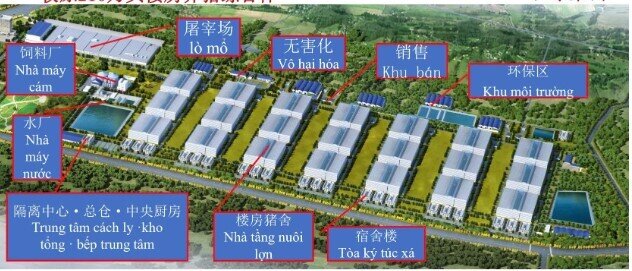 BAF nói về “chung cư nuôi heo” đầu tiên tại Việt Nam