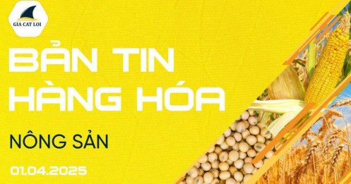 Bản Tin Nhóm Nông Sản Ngày 01/04/2025
