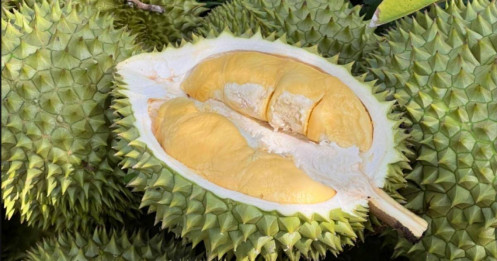 Xuất khẩu sầu riêng tụt hạng