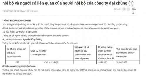 Cổ phiếu bật tăng kịch trần, mẹ con Chủ tịch DIC Corp vẫn bị “call margin”