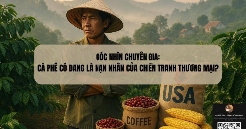 Góc nhìn chuyên gia: Cà phê có đang là nạn nhân của chiến tranh thương mại?