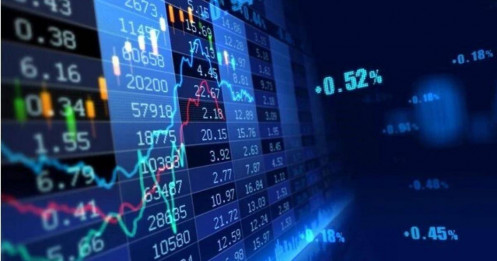 Nhóm cổ phiếu nào đang được giới đầu tư "săn đón"?