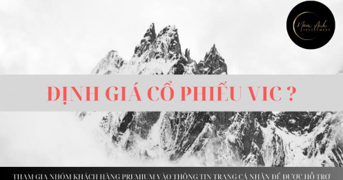 Định giá tiềm năng của VIC đến đâu?
