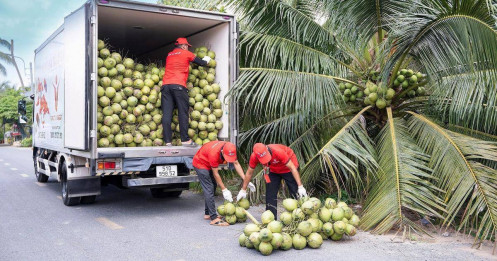 Mỹ tăng nhập rau quả Việt trong quý I