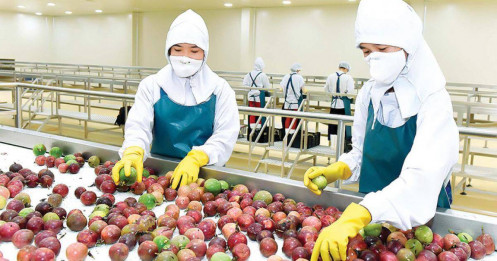 Ớt, chanh leo, tổ yến Việt Nam xuất khẩu chính ngạch vào Trung Quốc