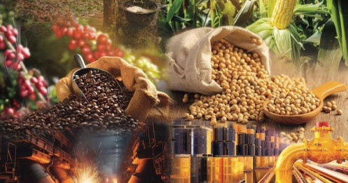 Toàn cảnh thị trường hàng hóa quý I/2025: Khối lượng giao dịch tăng vọt – Dòng tiền đang tái phân bổ mạnh mẽ