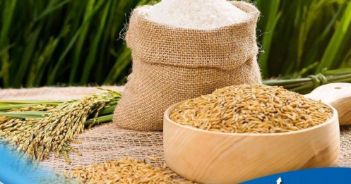 Gạo Ấn Độ, Việt Nam giảm do nhu cầu yếu