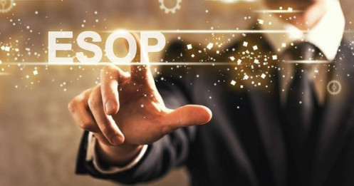Ngân hàng đẩy mạnh ESOP: Chiến lược giữ người hay cách định vị lại quyền lực?