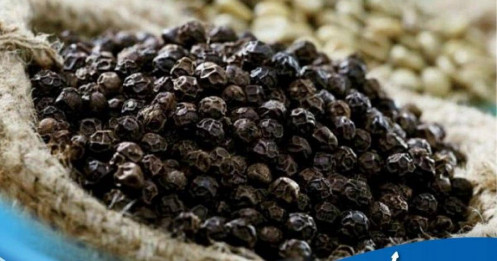 Giá tiêu neo ở mức cao