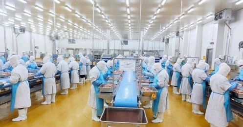 Các "ông lớn" ngành chăn nuôi lạc quan tăng trưởng