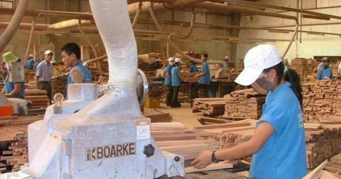 Khám phá về cổ phiếu PTB