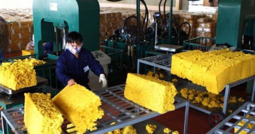 Rủi ro kép và thách thức cho cổ phiếu cao su