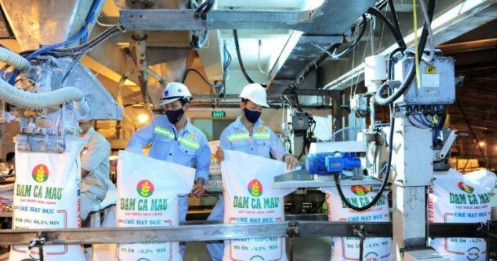 DCM - Kỳ vọng tăng trưởng ổn định (Kỳ 1)