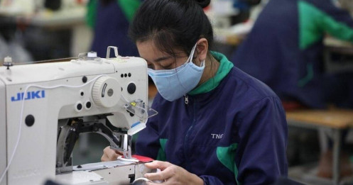 Cổ đông Dệt may TNG sắp nhận cổ tức cao nhất lịch sử