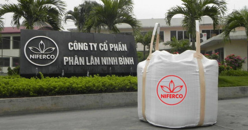 Cuộc bứt phá của NFC: Những động lực dẫn lối tăng trưởng