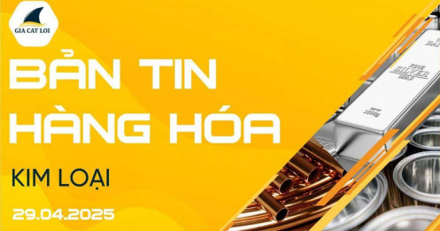 Bản Tin Nhóm Kim Loại Ngày 29/04/2025