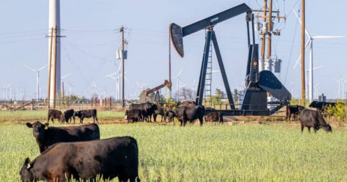 Dầu Thô Giảm Mạnh 1.5%: Nỗi Lo Nhu Cầu Từ Căng Thẳng Mỹ - Trung