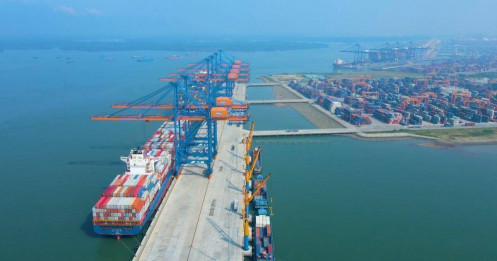 Gemadept tìm lối thoát trong vòng xoáy thuế quan