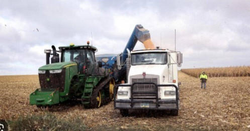 Trung Quốc dừng nhập hàng loạt mặt hàng quan trọng do thuế quan, nông dân Mỹ lập tức điêu đứng