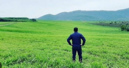 Lương 25 triệu ở Sài Gòn nhưng tôi muốn bỏ phố về quê