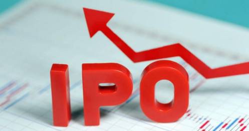 IPO 2025: Vinpearl, TCBS, Hoa Sen "khuấy đảo" thị trường tỷ đô.