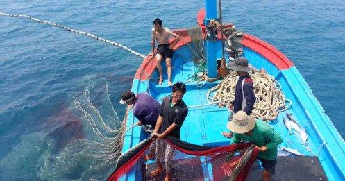 Nguy cơ “Thẻ vàng” kéo dài: Vì sao EC hoãn thanh tra IUU đến cuối năm 2025?