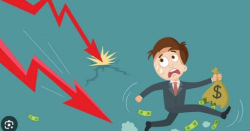 20 DN lỗ lớn nhất quý 1